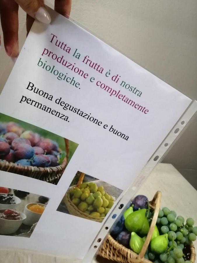 Casa Vacanze La Ca Del Cunfec ソンドリオ エクステリア 写真